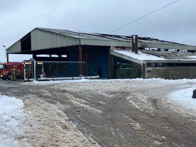 WhatsApp Image 2026-01-12 at 08.59.41.jpeg