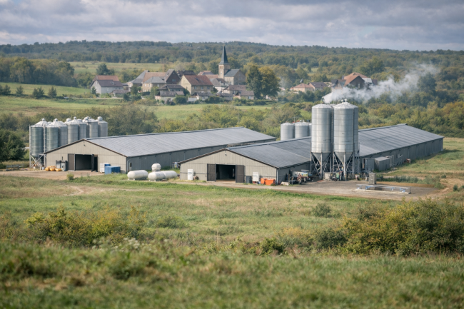 ChatGPT Image 24 févr. 2026, 09_42_38.png