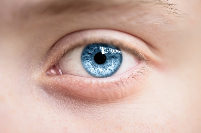 oeil-bleu-images-gratuites-fotomelia.jpg