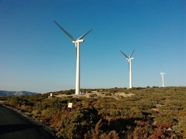 302531197.jpg