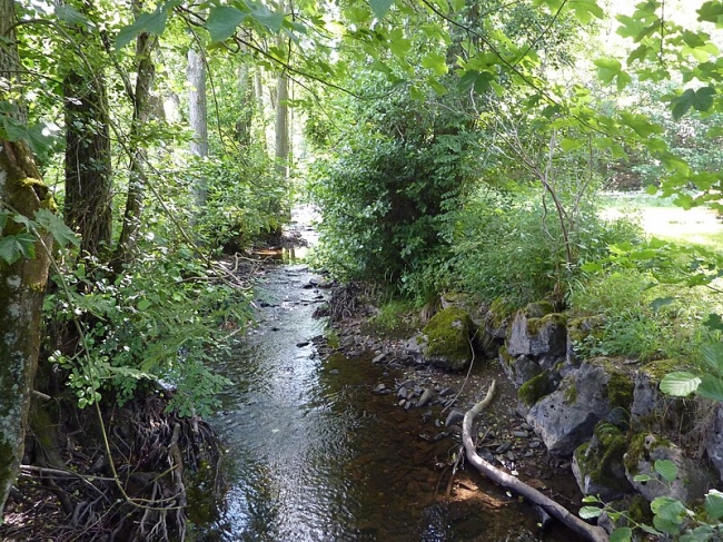 La_Masblette_à_Fourneau_Saint-Michel_2010-07-13.JPG