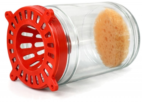 Attrappe Frelons OKOKOK.jpg