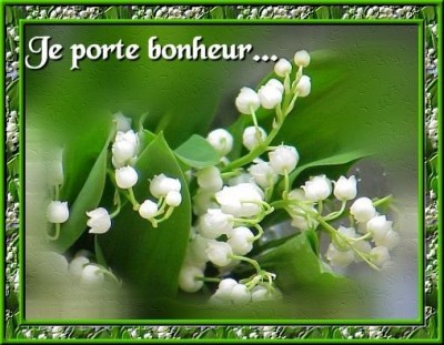 muguet1[1].jpg