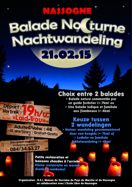 afficheBALADEnocturne2015.jpg