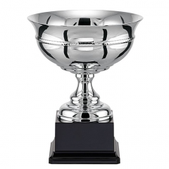 coupe-trophee-argent-.jpg