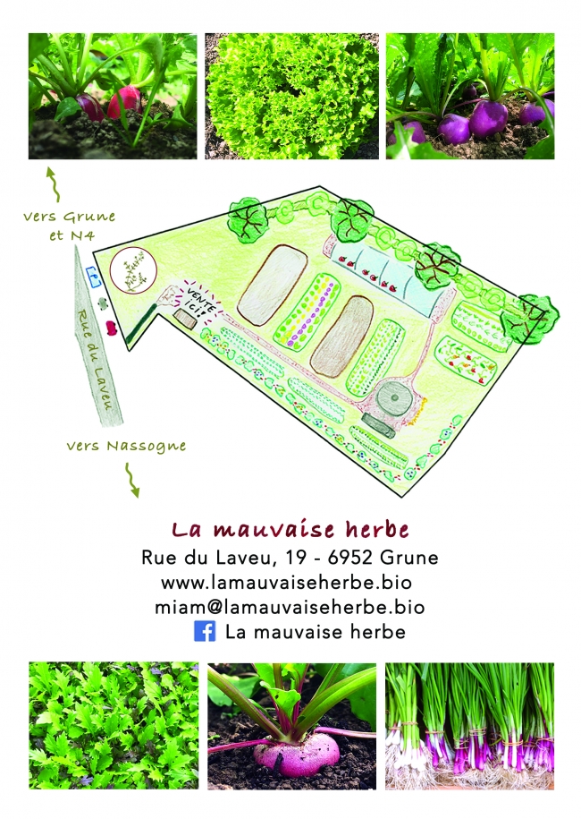 flyer-vv-v6-verso-aplati.jpg